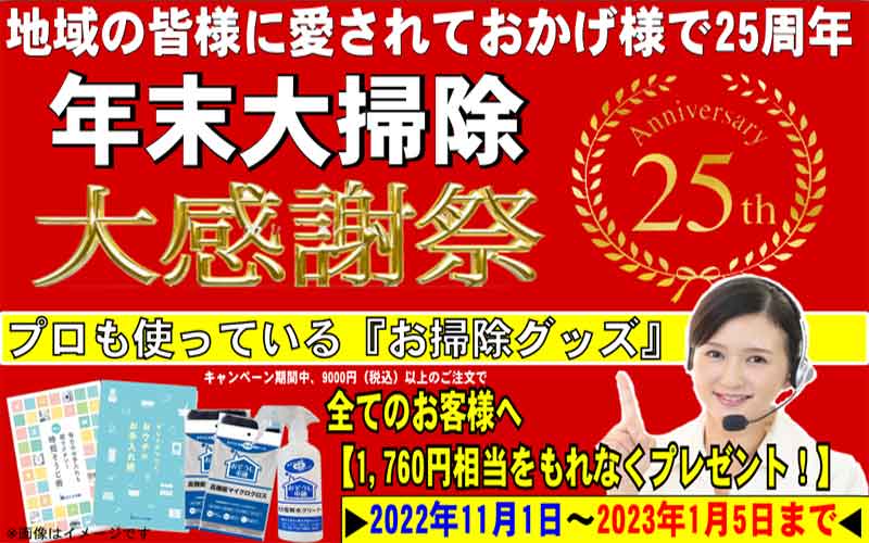 25周年チラシ da7501be74ca5e4497fc785829a54f32